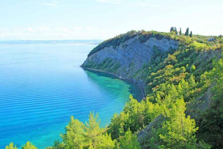 Apartamento Amazing View Pirano Exterior foto