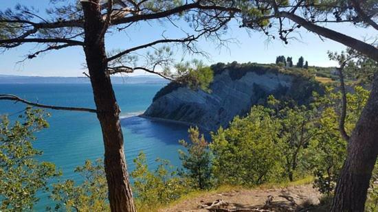 Apartamento Amazing View Pirano Exterior foto